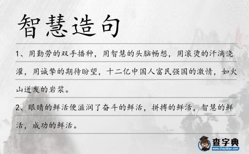 智慧造句