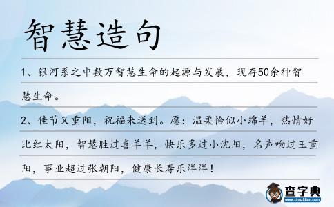 智慧造句