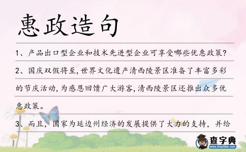 惠政造句