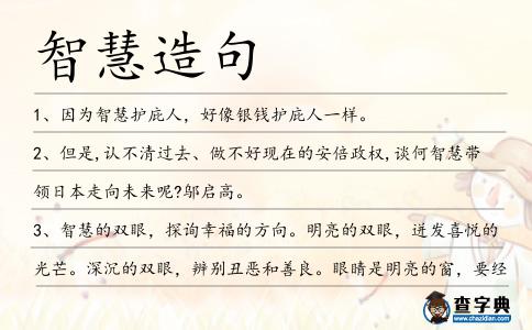 智慧造句