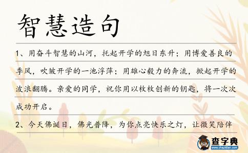 智慧造句