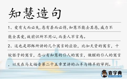 知慧造句