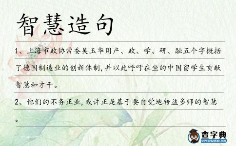 智慧造句