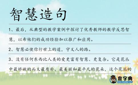 智慧造句