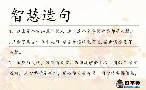 智慧造句