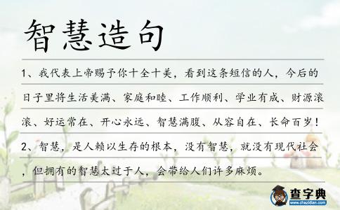 智慧造句