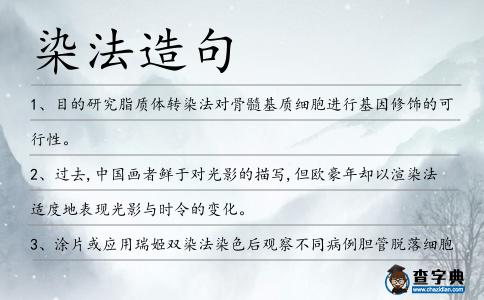 染法造句