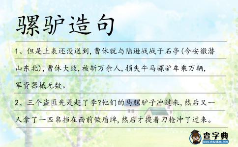 騾驢造句