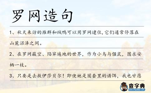羅網造句