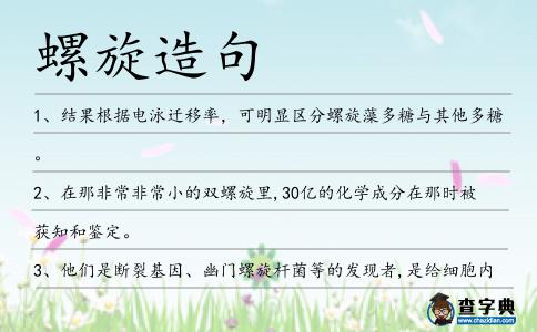 螺旋造句
