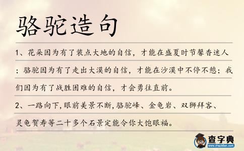 駱駝造句