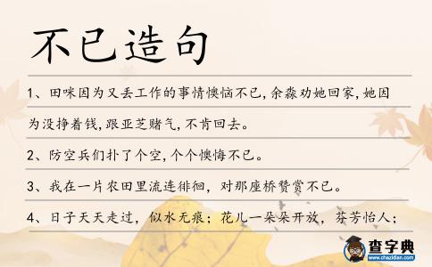 不已造句