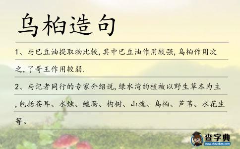 烏桕造句