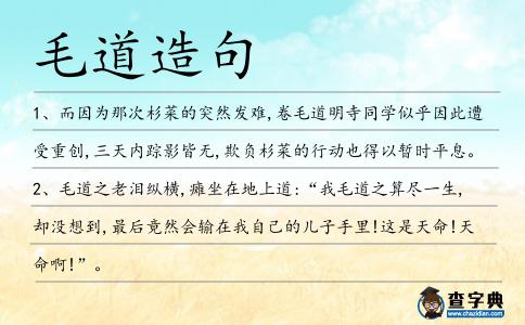 毛道造句