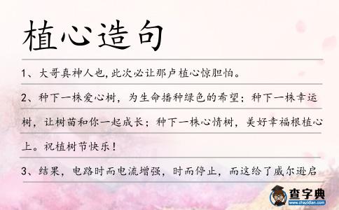 植心造句