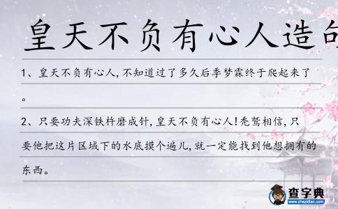 皇天不負有心人造句