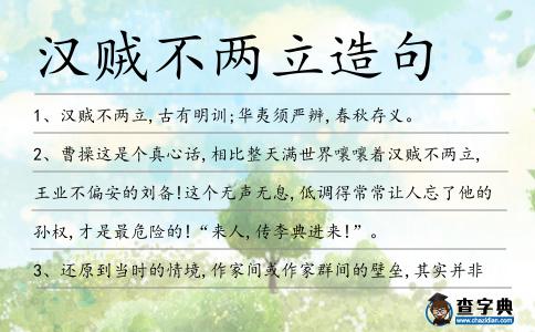 漢賊不兩立造句