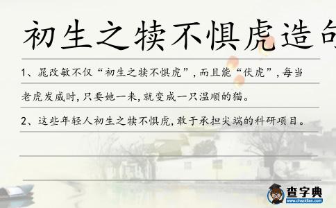 初生之犢不懼虎造句