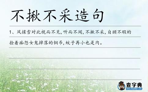 不揪不采造句