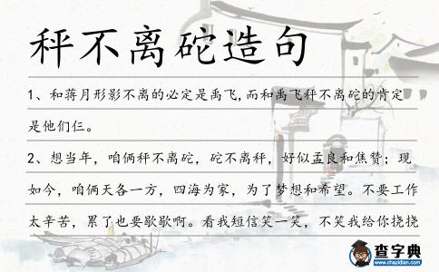 秤不離砣造句
