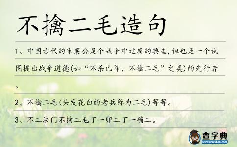 不擒二毛造句
