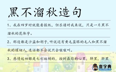 黑不溜秋造句