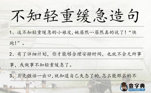 不知輕重緩急造句
