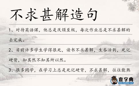 不求甚解造句