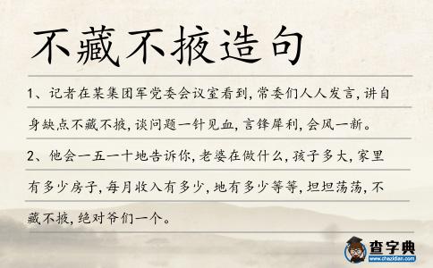 不藏不掖造句