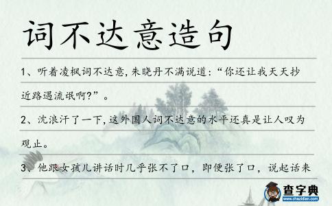 詞不達意造句