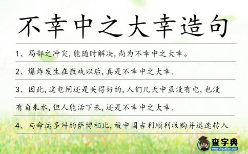 不幸中之大幸造句