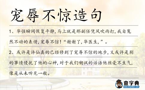 寵辱不驚造句