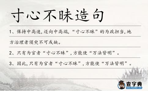 寸心不昧造句