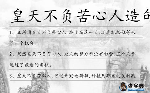 皇天不負苦心人造句