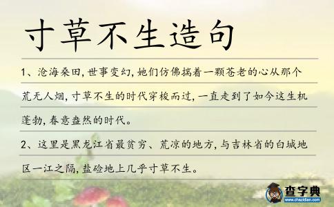 寸草不生造句