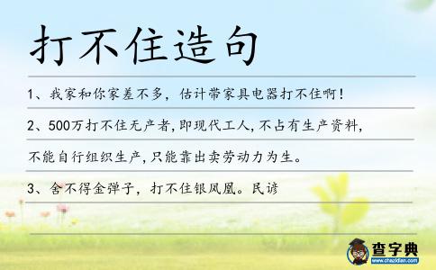 打不住造句