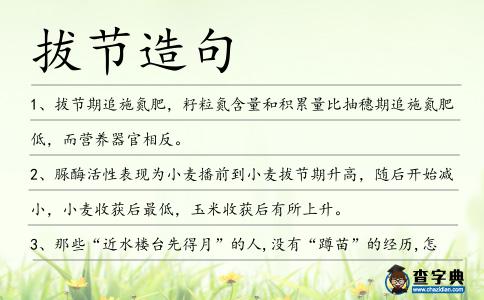 拔節造句