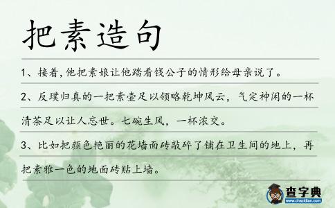 把素造句