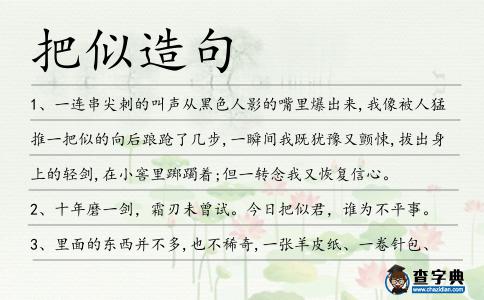 把似造句