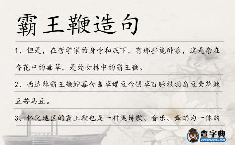 霸王鞭造句