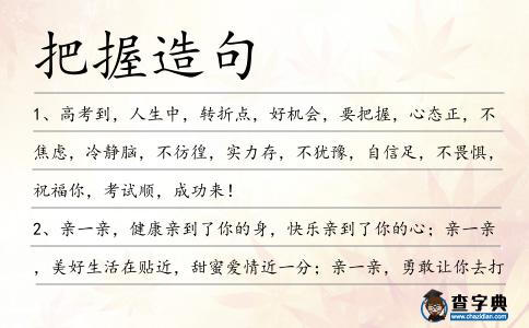 把握造句