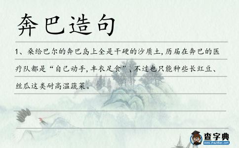 奔巴造句