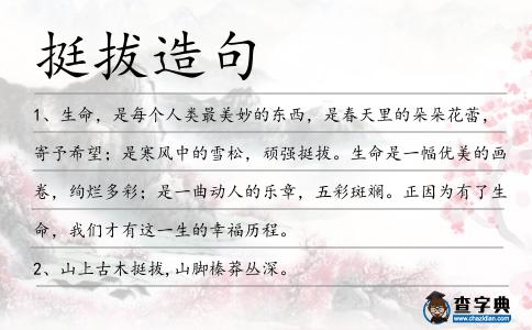 挺拔造句