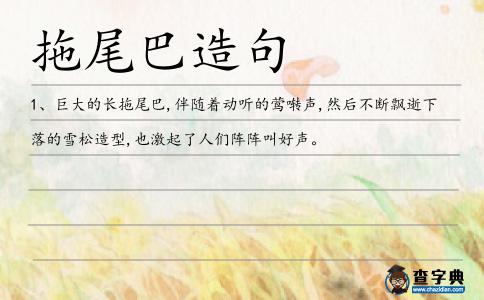 拖尾巴造句