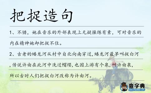 把捉造句