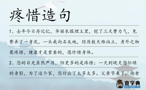疼惜造句
