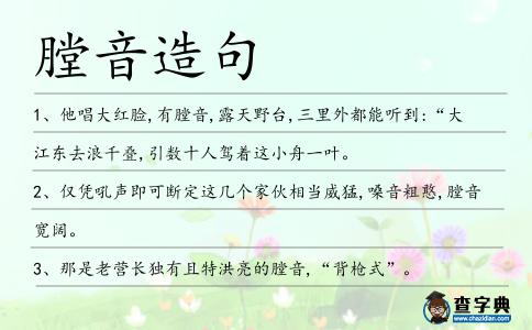 膛音造句