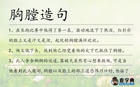 胸膛造句