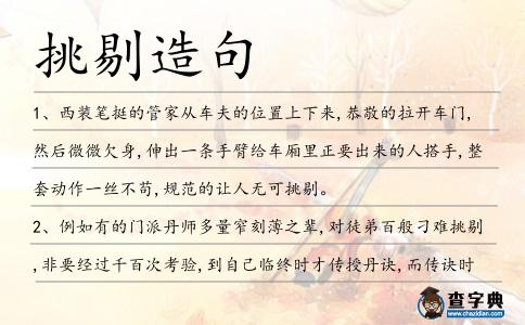 挑剔造句