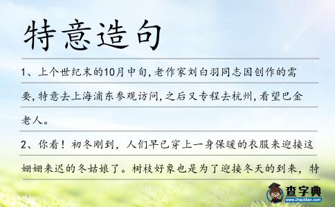 特意造句